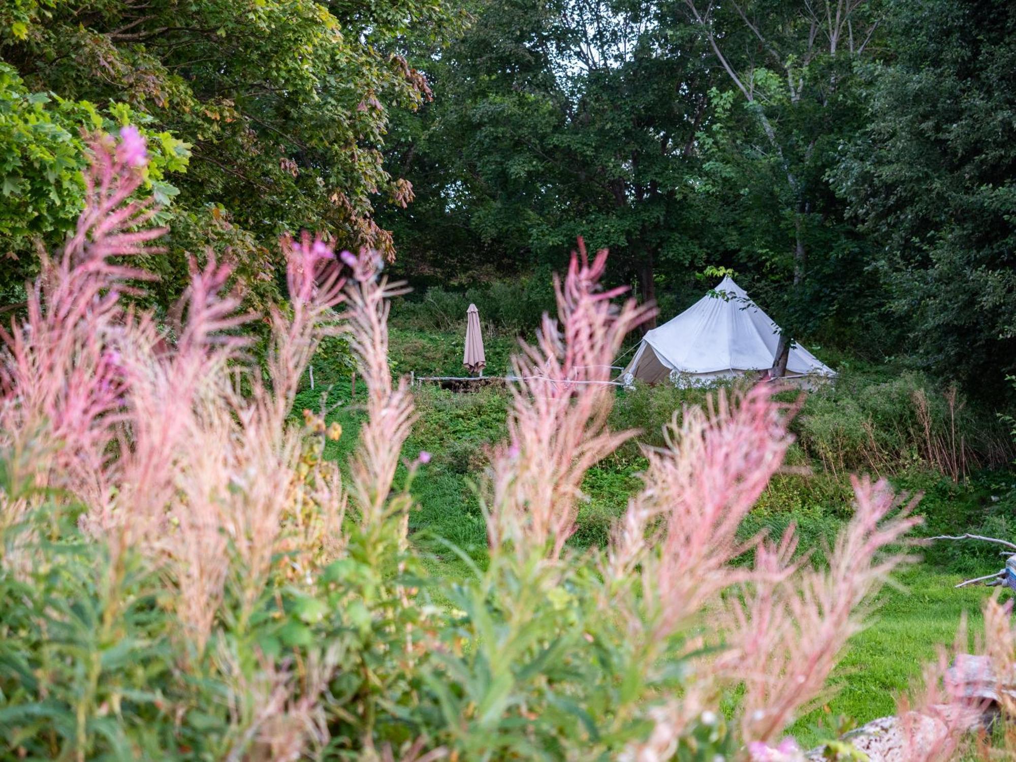 Mereaeaere Glamping Ja Rannamaja Liimala Экстерьер фото