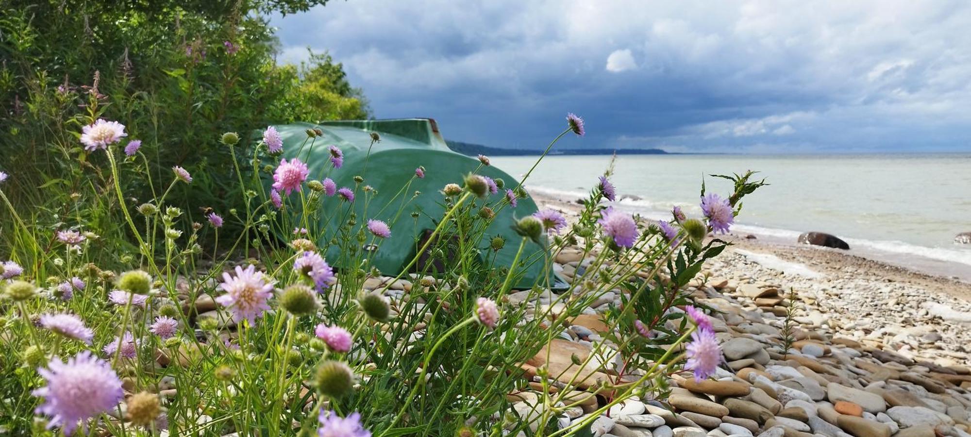 Mereaeaere Glamping Ja Rannamaja Liimala Экстерьер фото